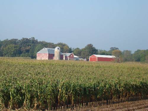 farm scene